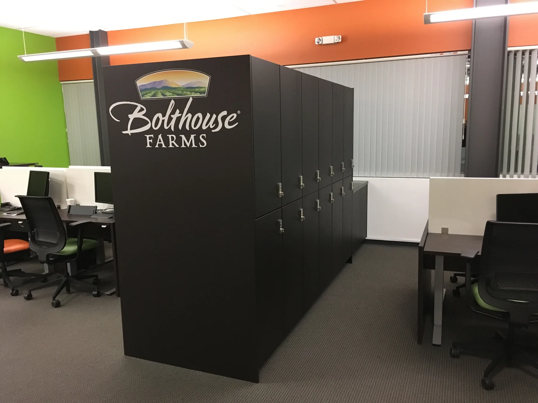 Bolthouse Farms Ã¢â‚¬â€ project view — image 3