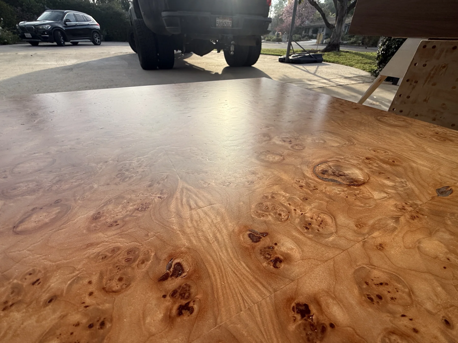 Custom Burl Coffee Table Ã‚Â· Encino Ã¢â‚¬â€ project view — image 2