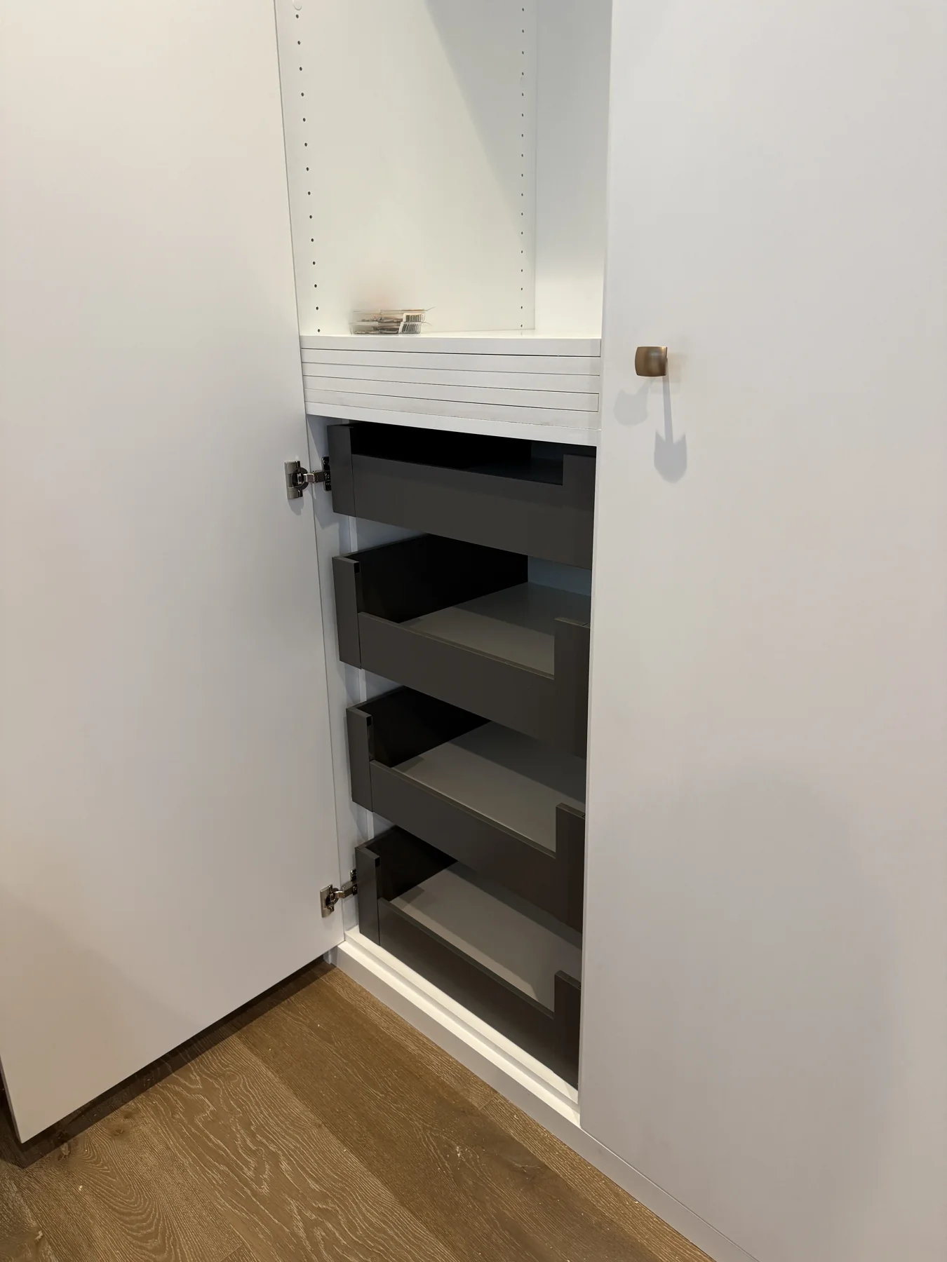 Custom Closet Ã‚Â· Santa Monica Ã¢â‚¬â€ project view — image 2