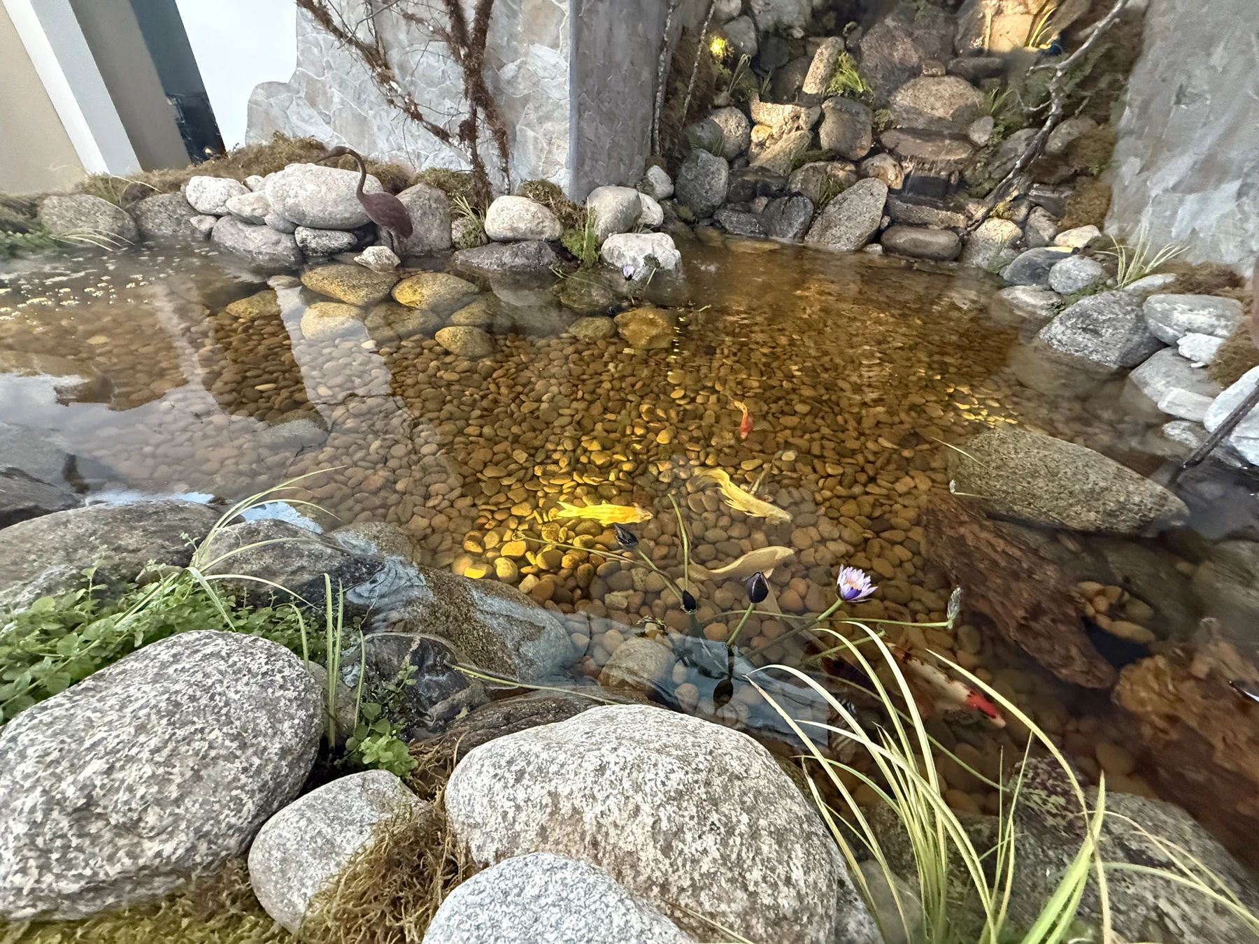 BitterRoot Ã‚Â· Marina del Rey Ã¢â‚¬â€ project view — image 5